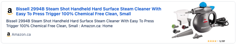 Steamers kill bed bugs and their eggs Steamer