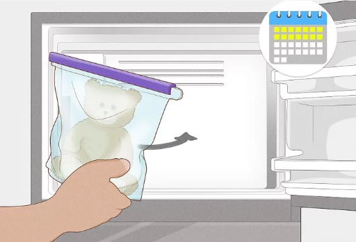 Freeze non-washable items to kill bed bugs Freeze non-washable items to kill bed bugs