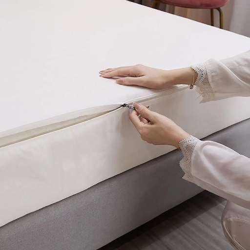 Encase mattress for one year to kill bed bugs Encase mattress for one year to kill bed bugs
